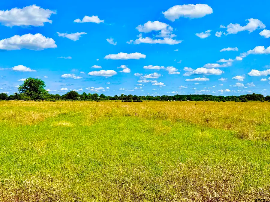 TBD Cooper Settlement Road, Crockett, TX 75835 - #3