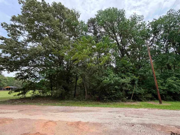 TBD LLANO MOUNT VERNON TX 75457, Mt Vernon, TX 75457