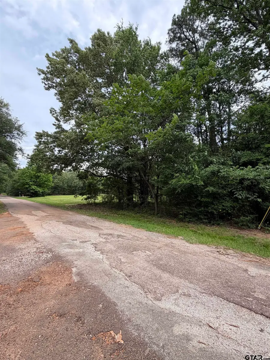 TBD LLANO MOUNT VERNON TX 75457, Mount Vernon, TX 75457 - #2