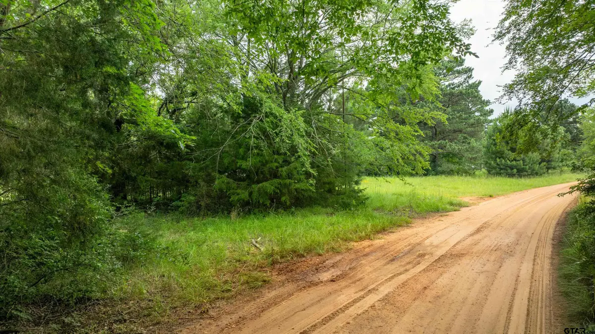 0000 An County Road 2114, Elkhart, TX 75839 - #1