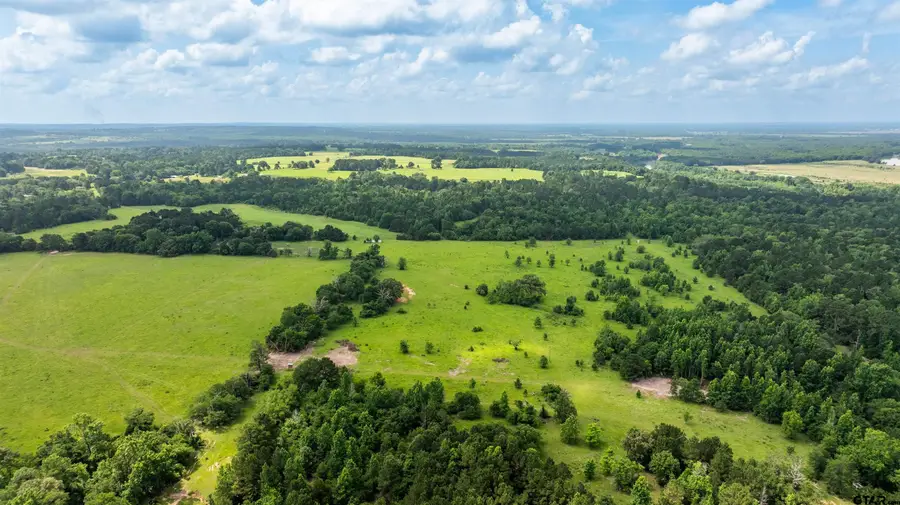 0000 Private Road 6111, Elkhart, TX 75839 - #3
