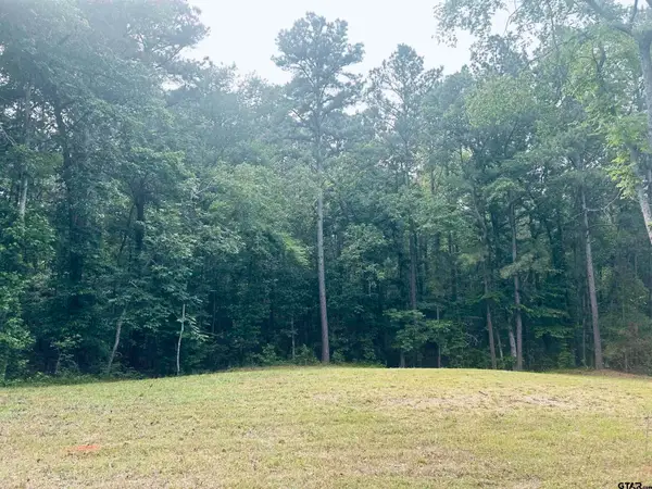 TBD Brandon St, Troup, TX 75789