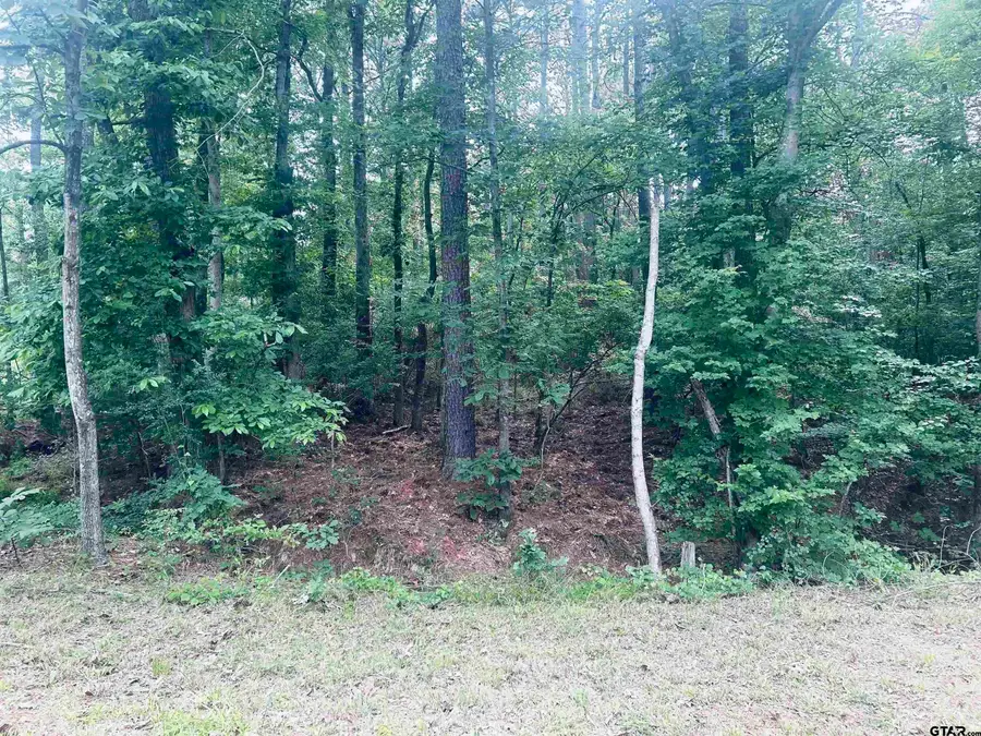 TBD Brandon St, Troup, TX 75789 - #3