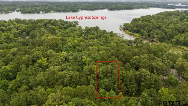 Lot 236 Canadian, Scroggins, TX 75480