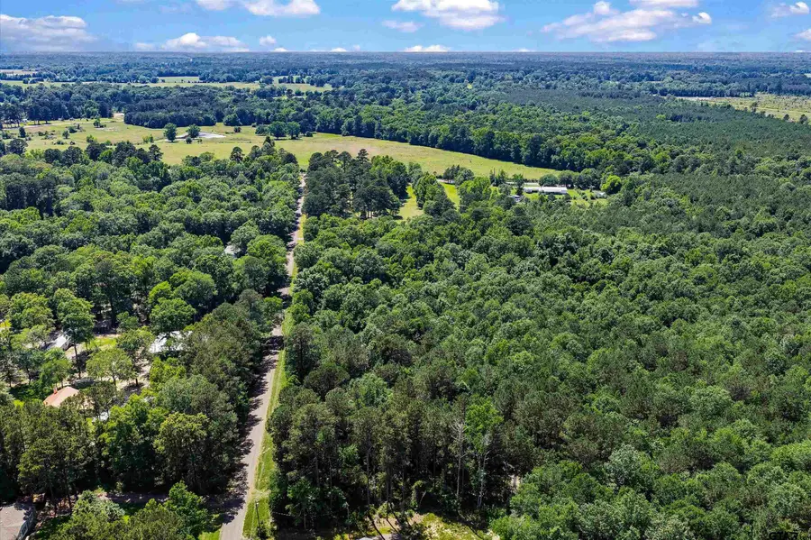 TBD CR 3361 (Tract # B), De Berry, TX 75639 - #2