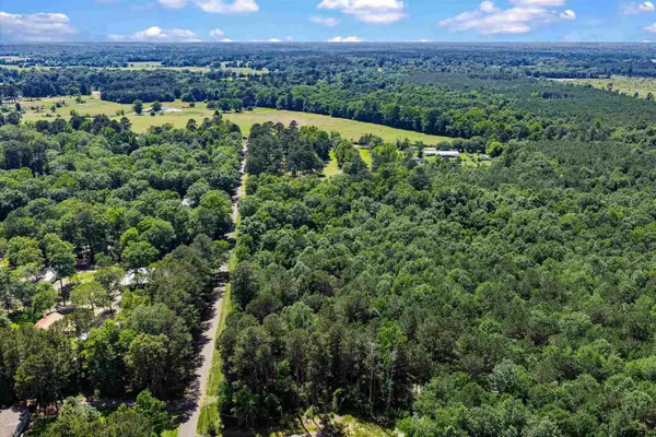 TBD CR 3361 (Tract # C), DeBerry, TX 75639