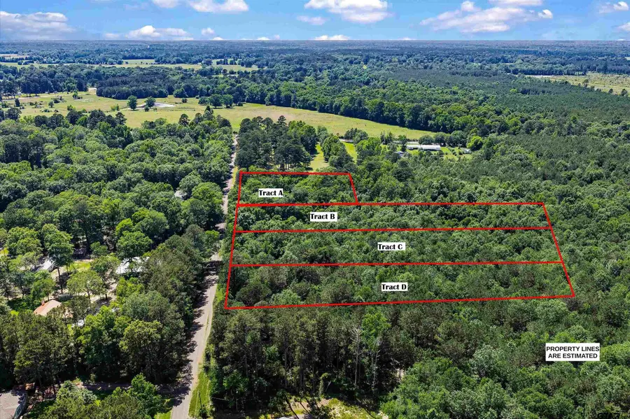 TBD CR 3361 (Tract # C), De Berry, TX 75639 - #2