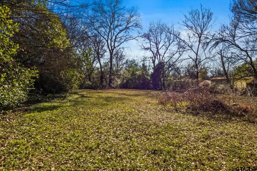 1210 E 4th, Mount Pleasant, TX 75455 - #2