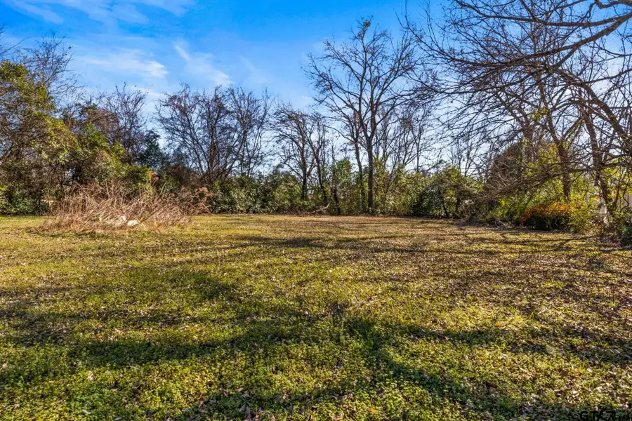 1210 E 4th, Mount Pleasant, TX 75455 - #3