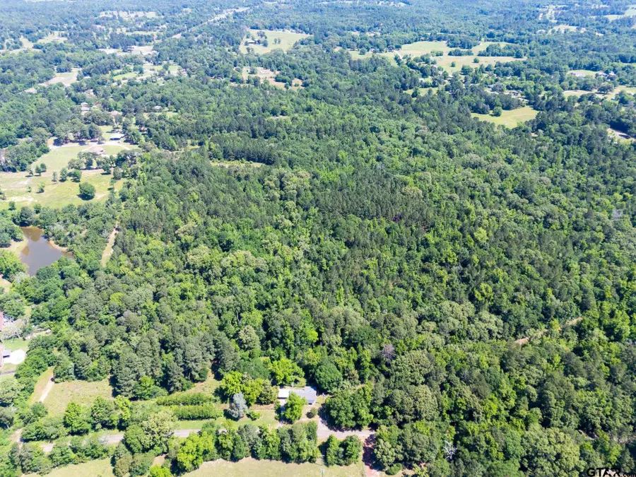 1085 PYEATT RD, Gladewater, TX 75647 - #3