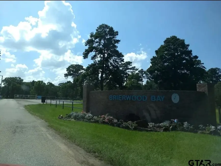TBD Lot 1 Brierwood Drive, Frankston, TX 75763 - #3