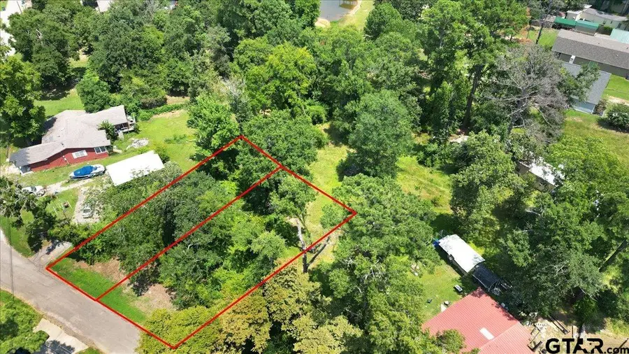 TBD Lot 2 Brierwood Drive, Frankston, TX 75763 - #3