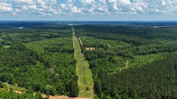 000 Avinger Cutoff Road, Avinger, TX 75630