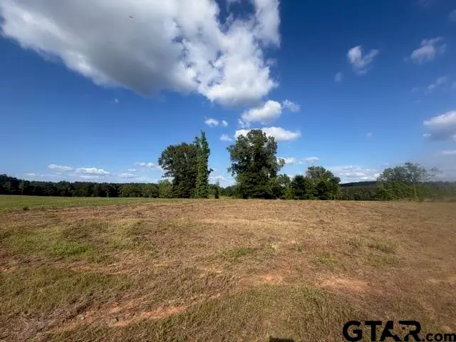 TBD Lot 5 Falcon View, Diana, TX 75640 - #1