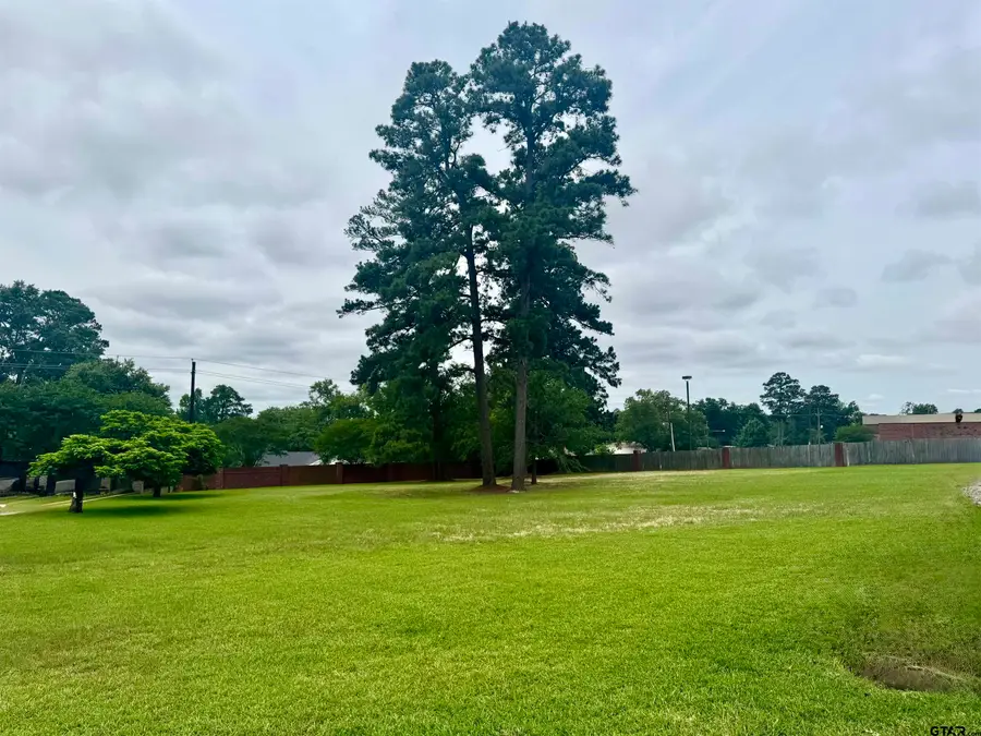 3052 Concord Place, Tyler, TX 75701 - #2