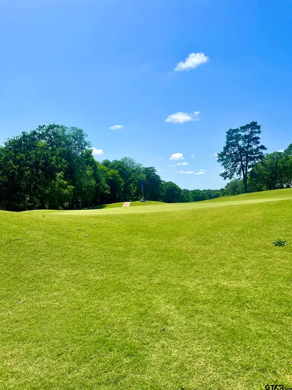 412 Hogan Dr., Tyler, TX 75709