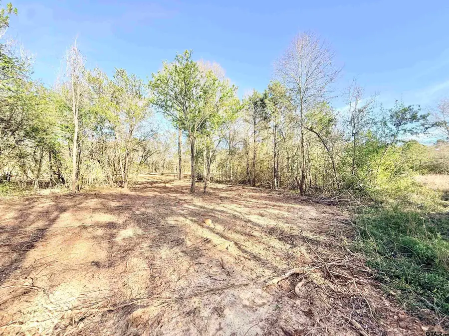 TBD FM 345 Lot 2, Arp, TX 75750 - #2