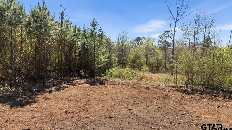 TBD FM 345 Lot 2, Arp, TX 75750 - #3