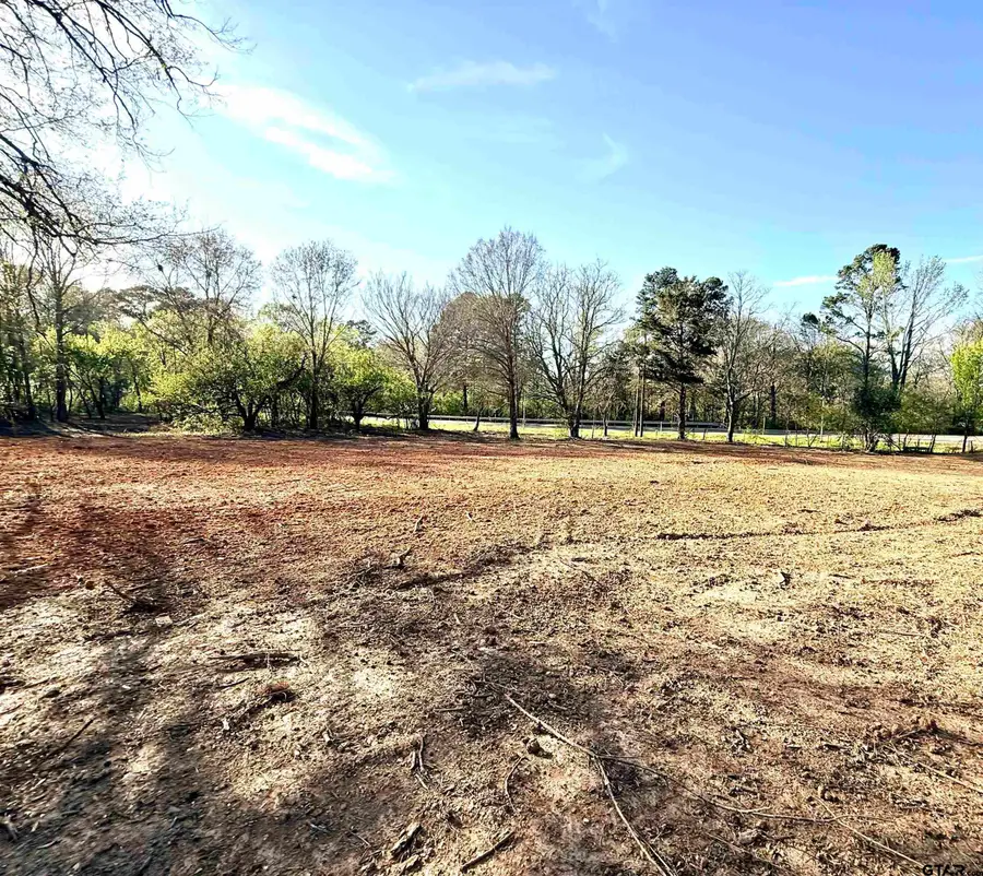 19874 FM 345 Lot 1, Arp, TX 75750 - #2