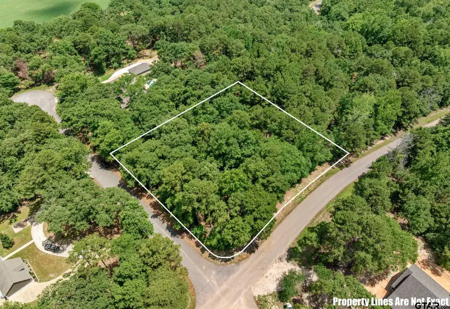 14900 Amber Leaf Ct, Tyler, TX 75707 - #2