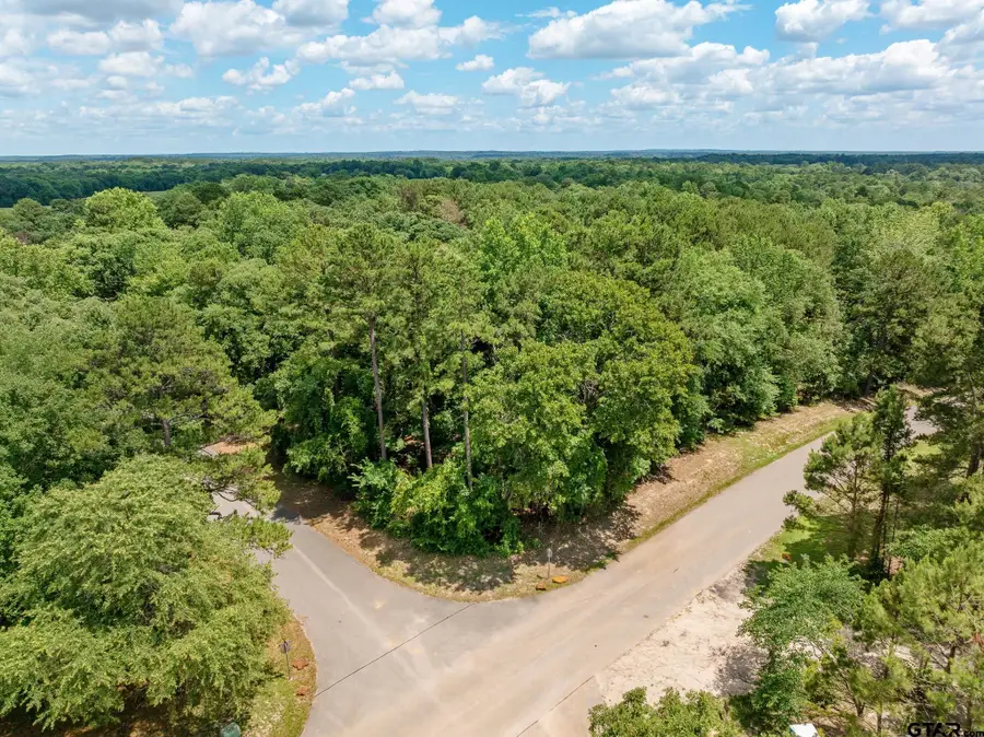 14900 Amber Leaf Ct, Tyler, TX 75707 - #3