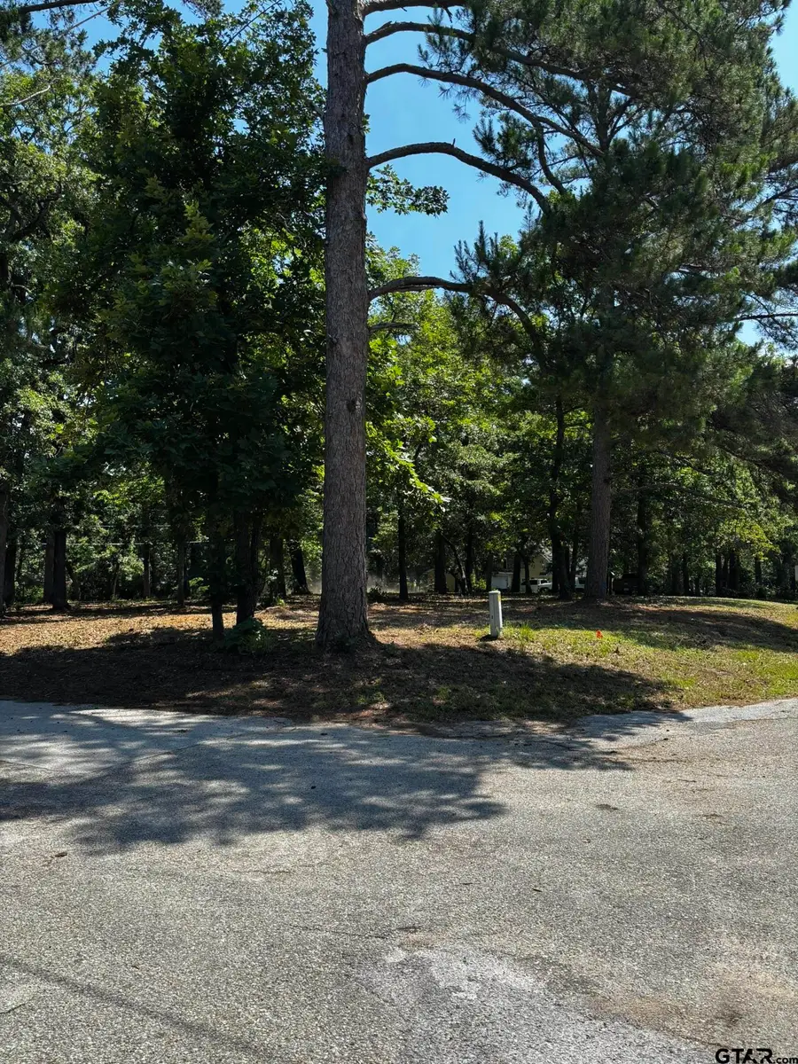 21047 Virginia Rd, Flint, TX 75762 - #3