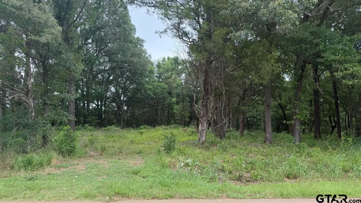 13676 County Road 420, Tyler, TX 75704 - #1