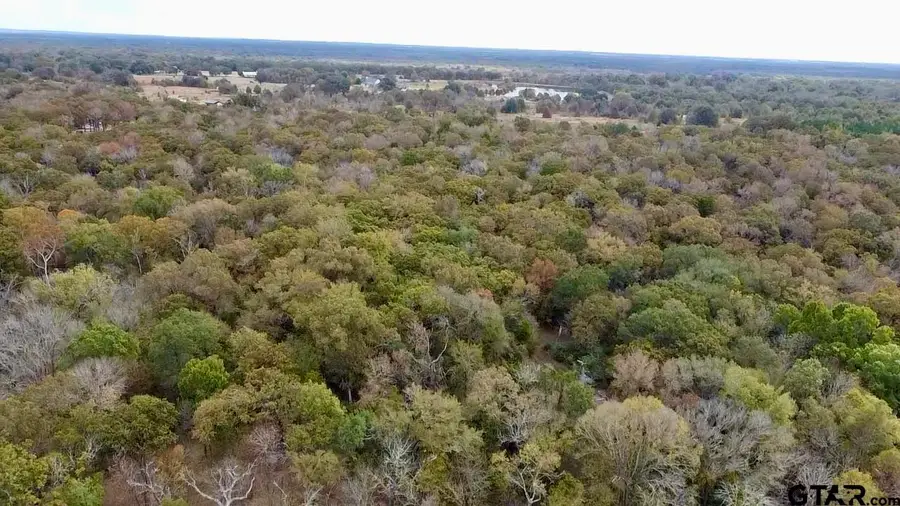 15308 W FM 321, Tennessee Colony, TX 75861 - #3
