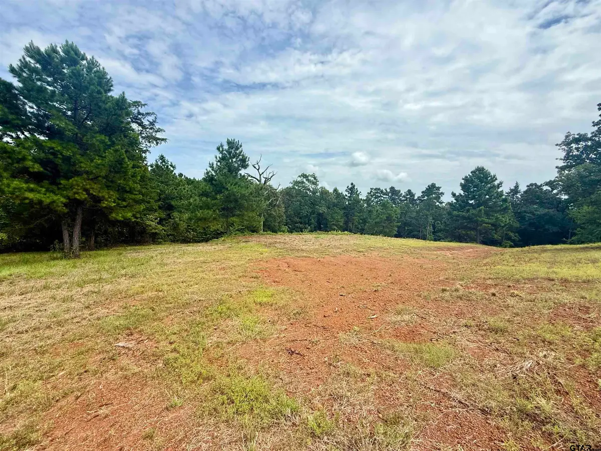 16121 W Valley View Ct, Winona, TX 75792 - #1