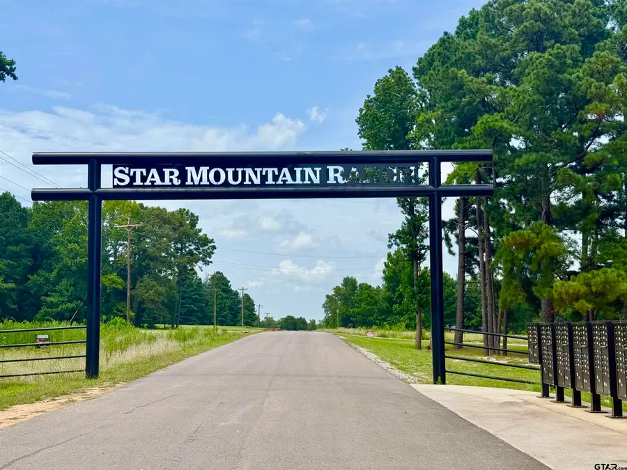 16121 W Valley View Ct, Winona, TX 75792 - #3