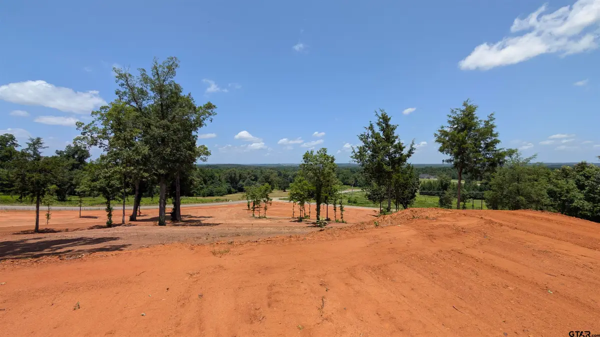 16416 Ridgeline Loop, Winona, TX 75792 - #1