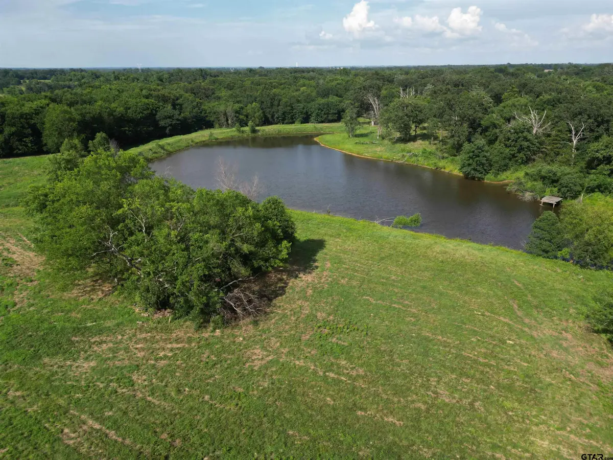 TBD CR 3371, Saltillo, TX 75478 - #1