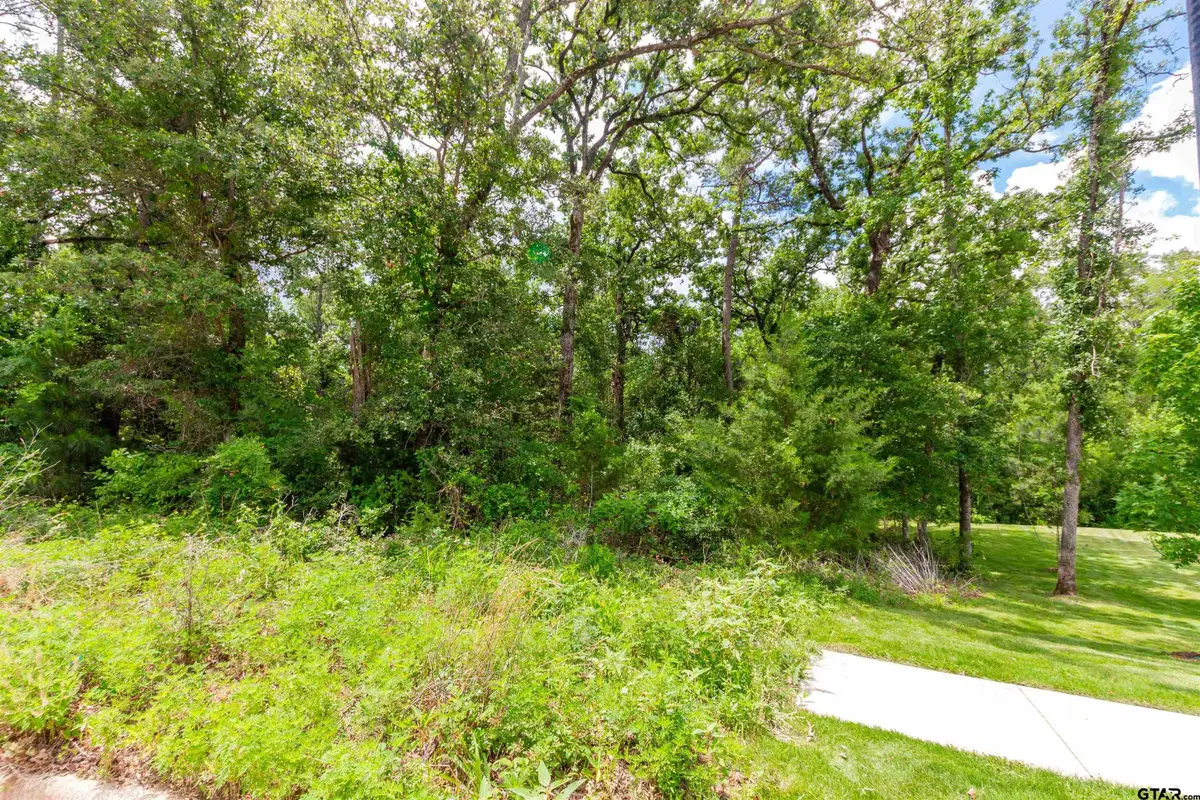 2528 Barrett Ct, Tyler, TX 75703 - #1