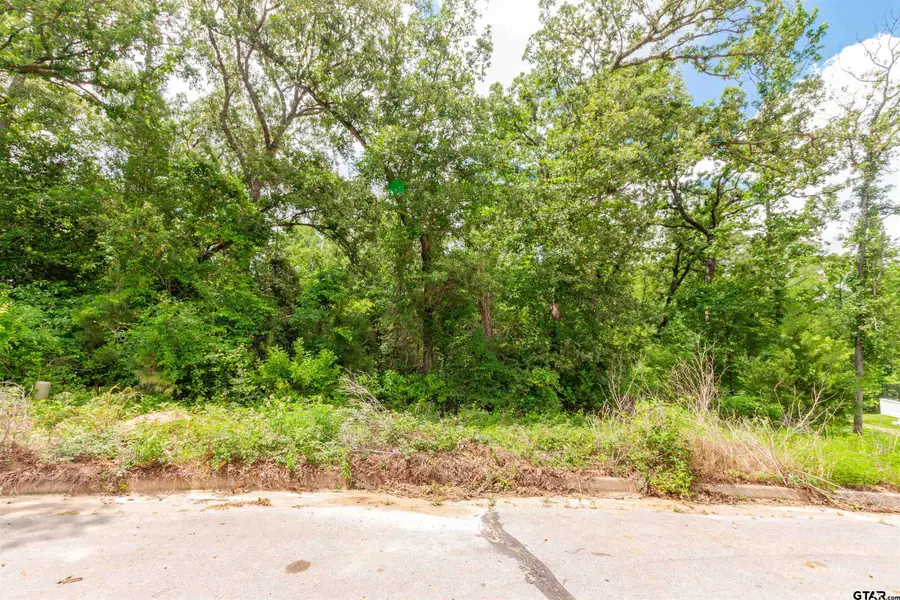 2528 Barrett Ct, Tyler, TX 75703 - #3