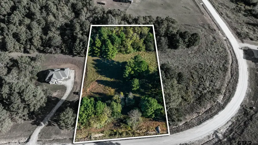 17218 Stella Maris St., Winona, TX 75792 - #2