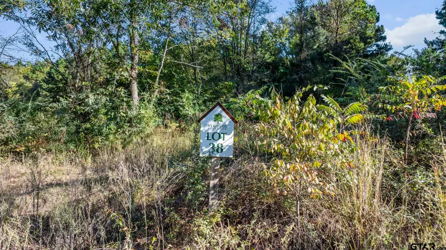 17218 Stella Maris St., Winona, TX 75792 - #3