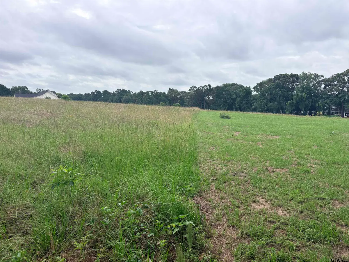 TBD LOT 2 COUNTY ROAD 401, Henderson, TX 75654 - #1