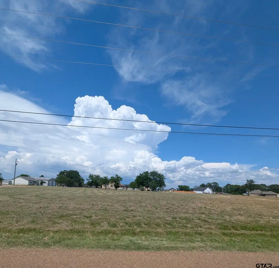 0 LBJ Ranch Rd, Trinidad, TX 75163 - #3