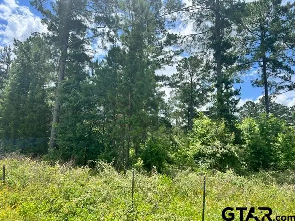 FM323, Palestine, TX 75801