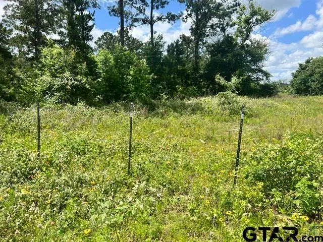 FM323, Palestine, TX 75801 - #3