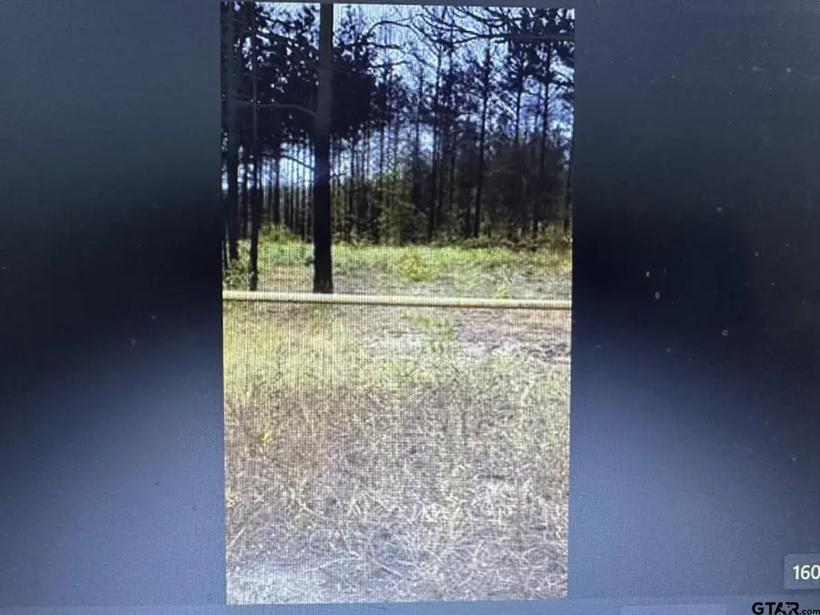 TBD County Road 4122, Overton, TX 75684 - #3