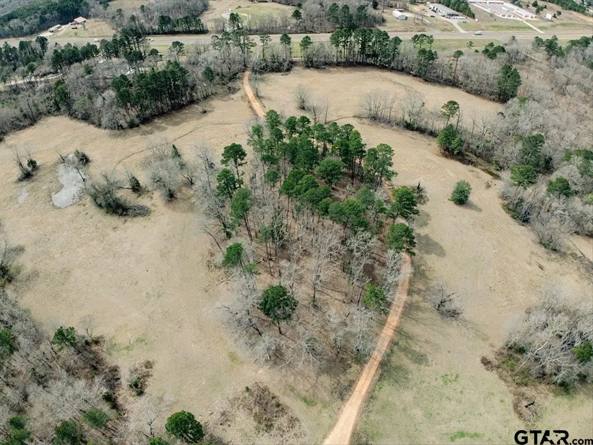 1425 State Highway 300, Gilmer, TX 75645 - #1