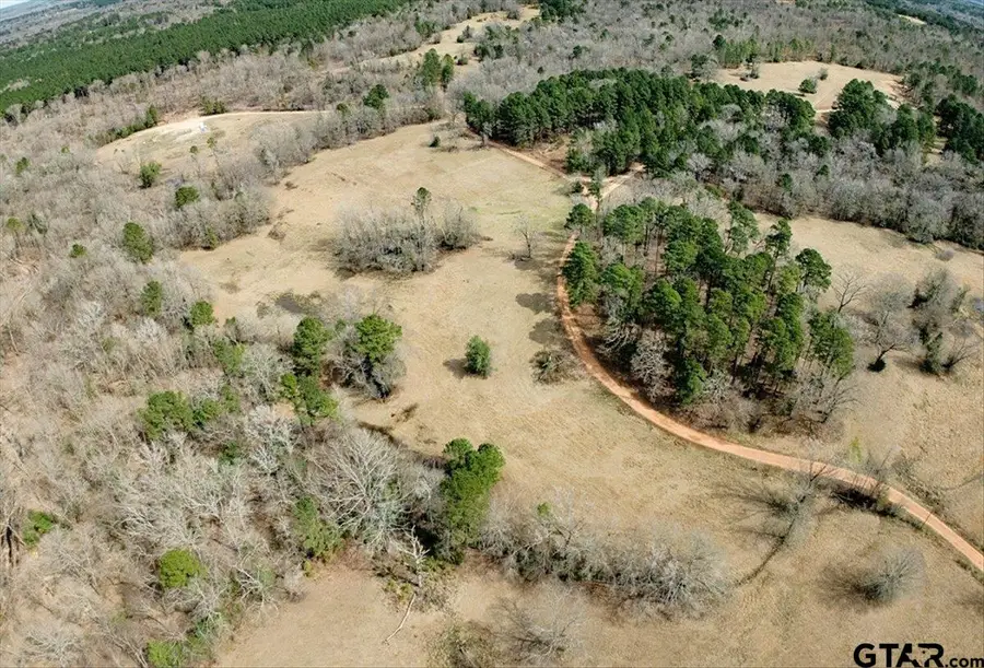 1425 State Highway 300, Gilmer, TX 75645 - #2