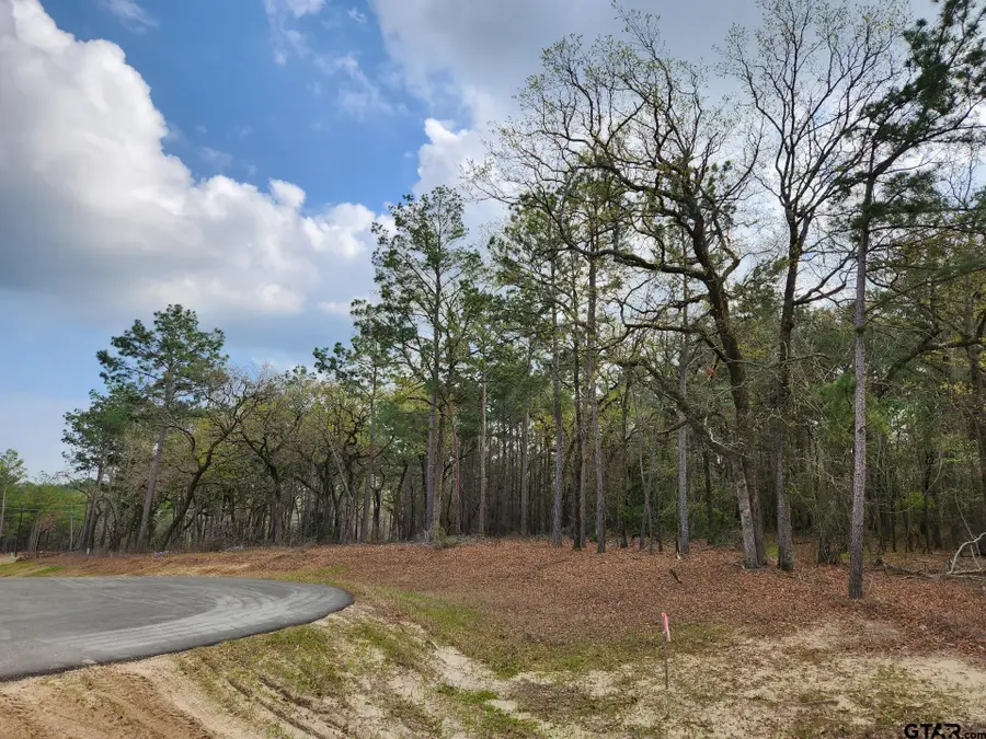3281 Shadow Pine Dr (Lot 64 & L5), Larue, TX 75770 - #3