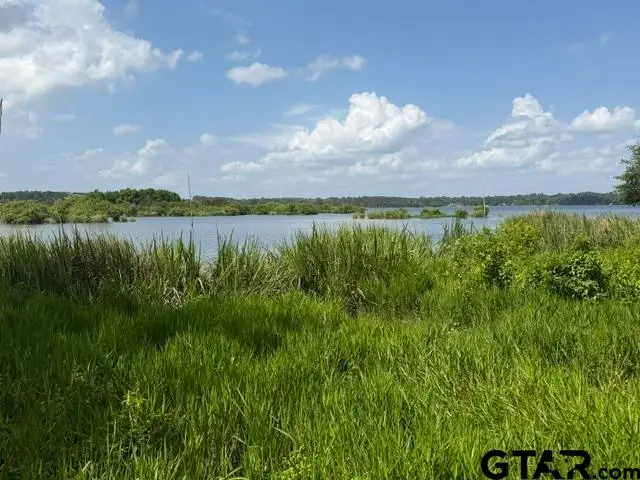 3196 Shadow Pine Dr, Larue, TX 75770 - #1