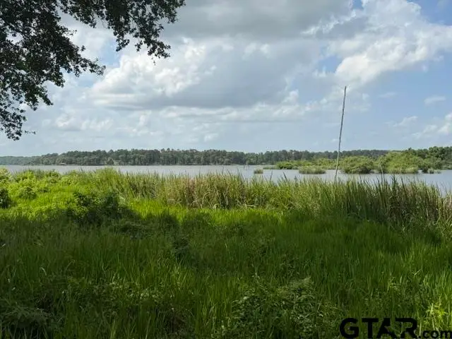 3196 Shadow Pine Dr, Larue, TX 75770 - #2