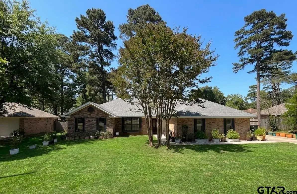 4392 Leaning Oaks Drive, Flint, TX 75762 - #1