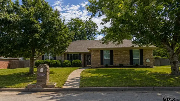 20700 Bluegrass Cir, Flint, TX 75762