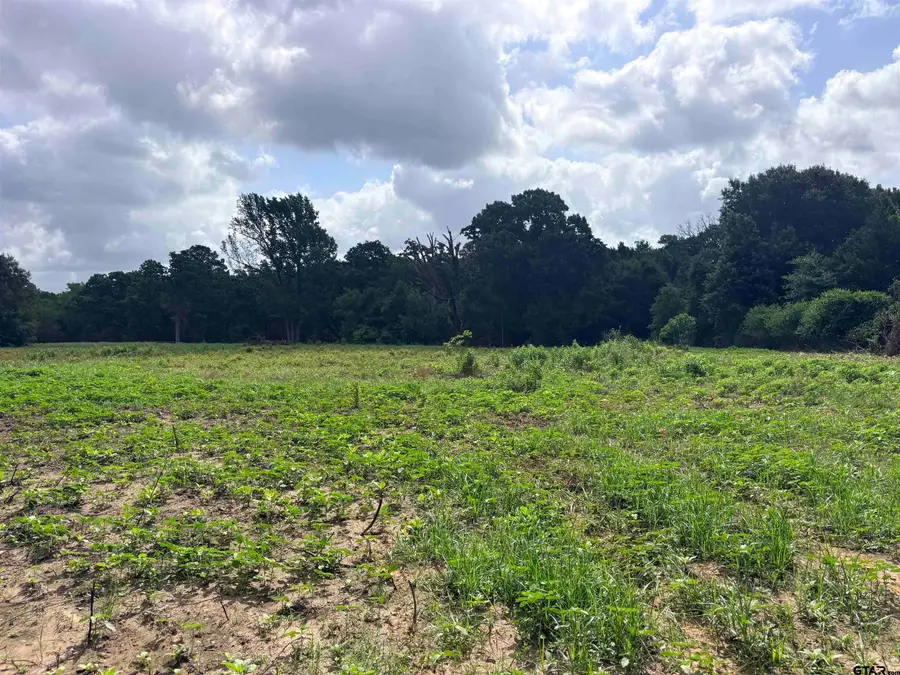 10268 N FM 607, Brownsboro, TX 75756 - #3