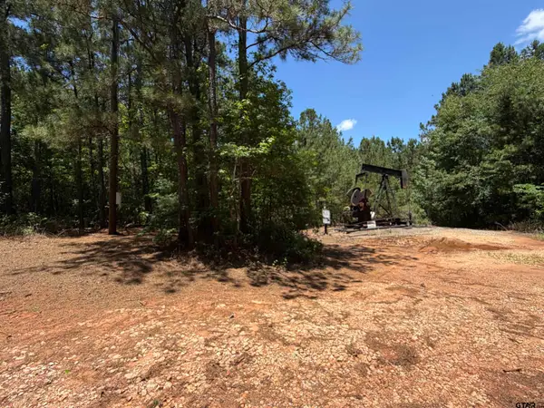 9018 Hwy 64, Overton, TX 75684